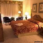 Alexander 4*