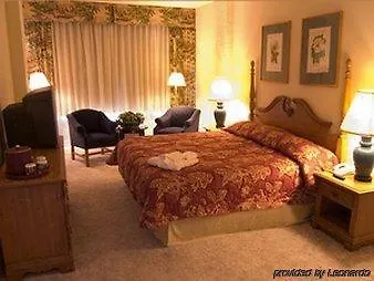 Alexander 4*