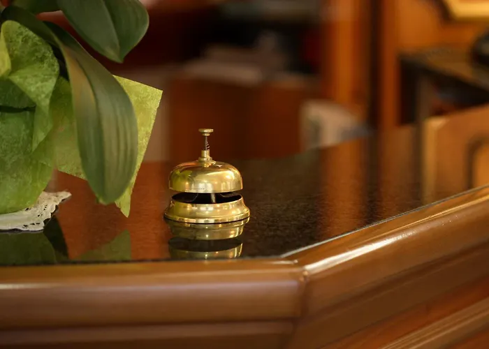 酒店 亚历山大酒店 4*