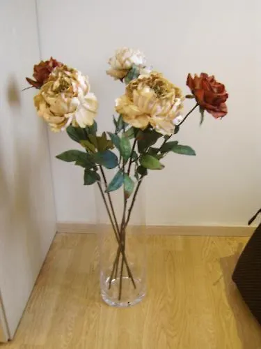 亚历山大酒店 4*