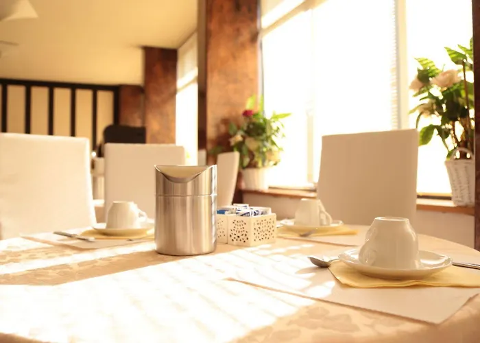 亚历山大酒店 酒店 切塞纳