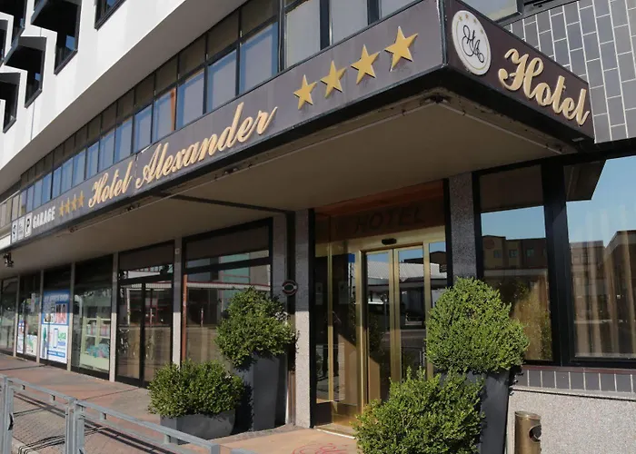 酒店 亚历山大酒店 切塞纳